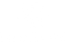 LOGO_HALLON_WHITE_250px