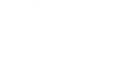 Socios de DIRCOM
